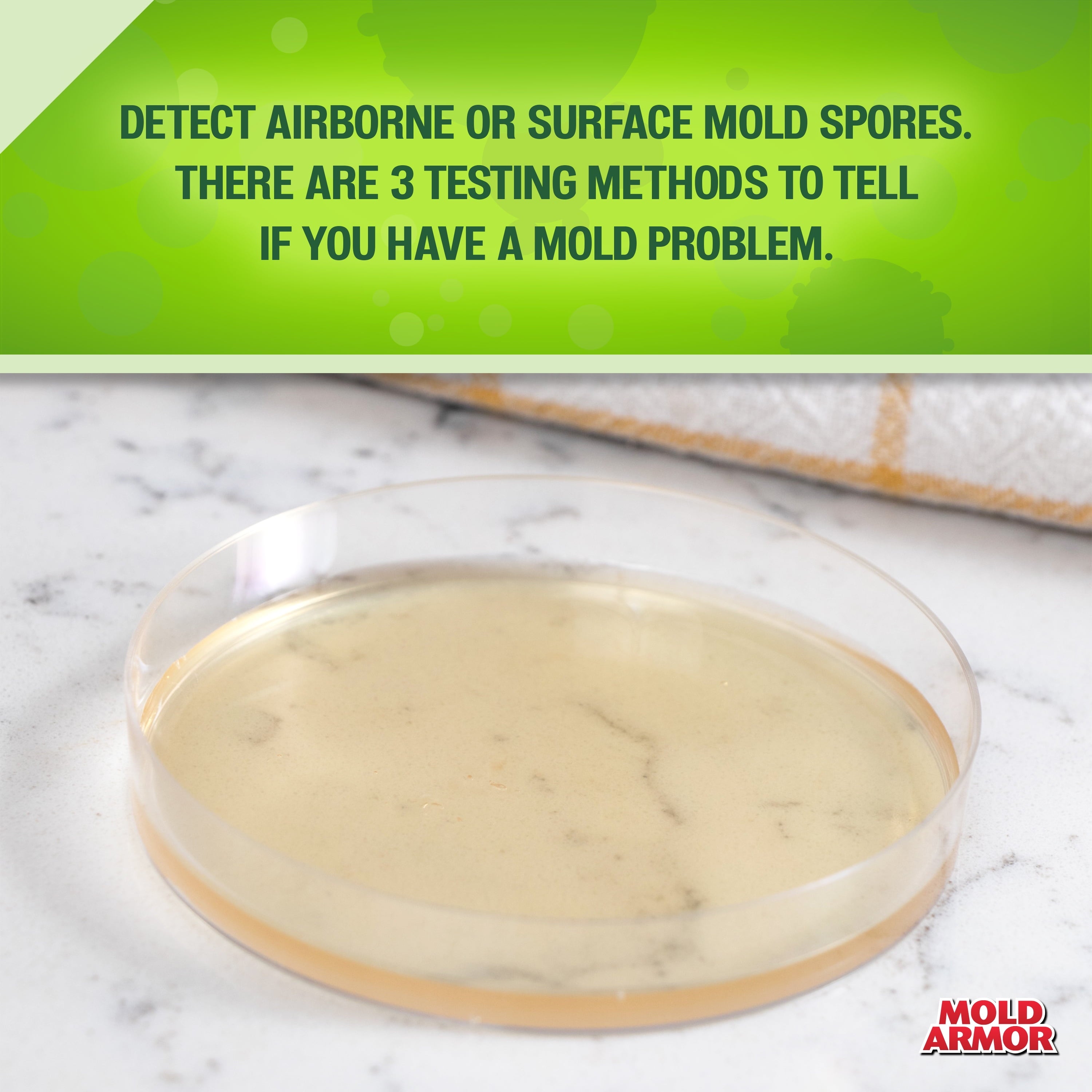Do-It-Yourself Mold Detection Test Kit